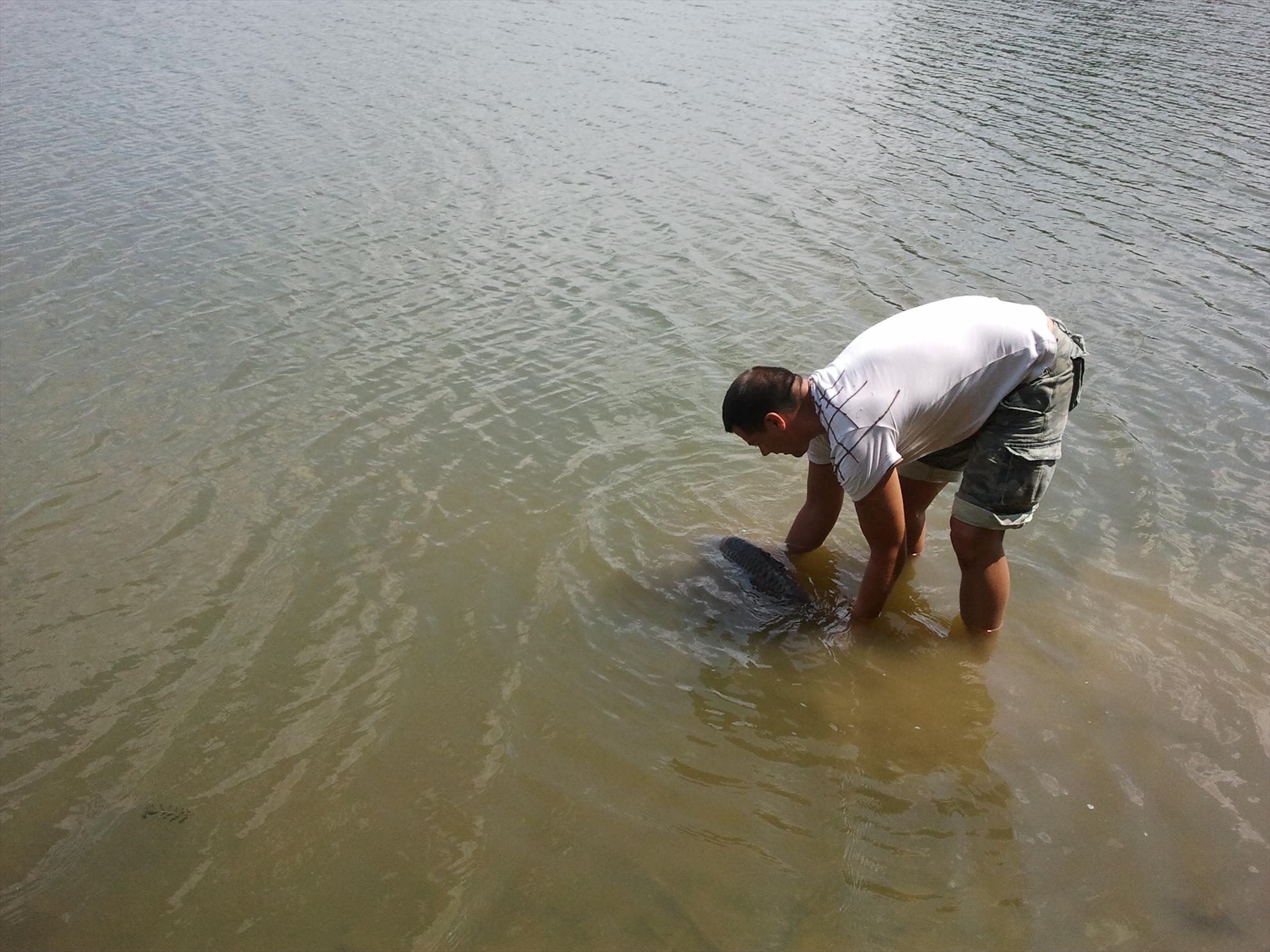 Balta SISTEREA jud Bihor - 31.07.2012